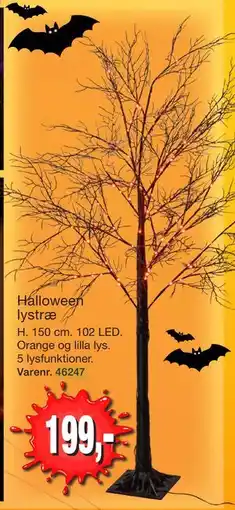 Harald Nyborg Halloween lystræ tilbud