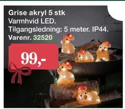Harald Nyborg Grise akryl tilbud