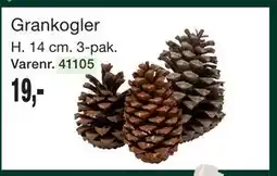 Harald Nyborg Grankogler tilbud