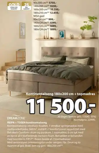 Dreamzone Reipa + Tosen kontinentalseng