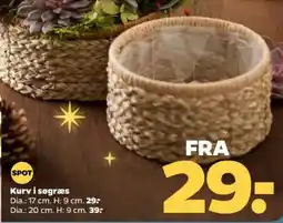 Netto Kurv i søgræs tilbud