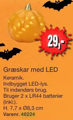 Harald Nyborg Græskar med LED tilbud