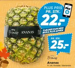 Bilka Princip Ananas tilbud