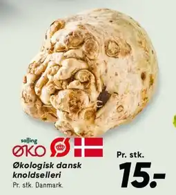 Bilka Økologisk dansk knoldselleri tilbud