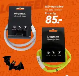 Bilka LED-halsbånd / lysbånd tilbud