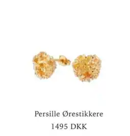 Vibholm Persille Ørestikkere tilbud