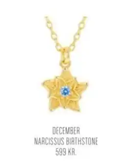 Vibholm December Narcissus Birthstone tilbud