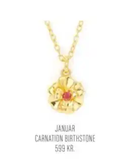 Vibholm Januar Carnation Birthstone tilbud