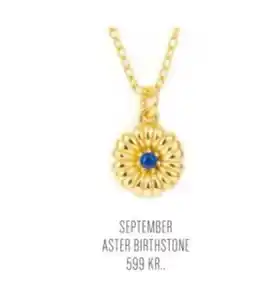 Vibholm September aster birthstone tilbud
