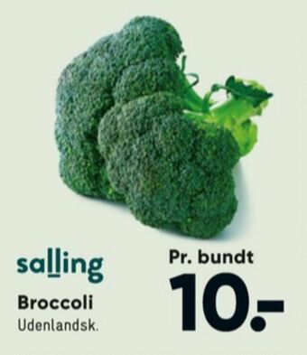 Bilka Salling broccoli tilbud