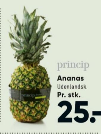 Bilka Princip ananas tilbud