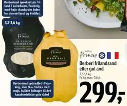 Føtex Berberi frilandsand eller gul and tilbud