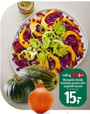 Økologiske danske hokkaido græskar eller spaghetti squash