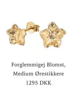 Vibholm Forglemmigej Blomst, Medium Ørestikkere tilbud