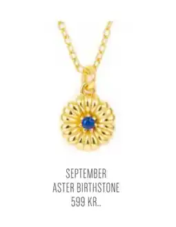 Vibholm SEPTEMBER ASTER BIRTHSTONE tilbud