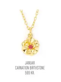 Vibholm JANUAR CARNATION BIRTHSTONE tilbud