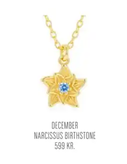Vibholm DECEMBER NARCISSUS BIRTHSTONE tilbud