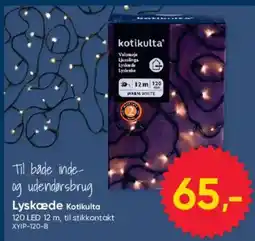 BigDollar Kotikulta Lyskæde tilbud