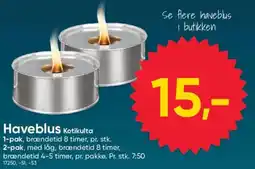 BigDollar Haveblus Kotikulta tilbud