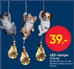 BigDollar Kotikulta LED-lampe tilbud