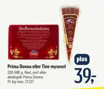 Gudbrandsdalen specialost