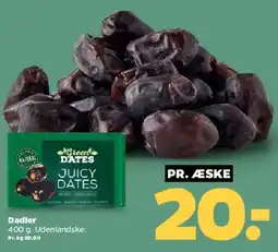 Netto Dadler tilbud