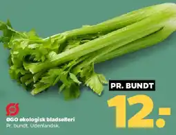 Netto Økologisk bladselleri tilbud