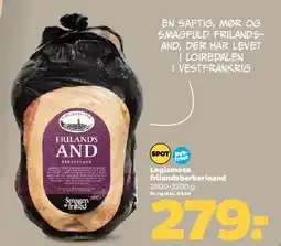 Netto Frilandsand tilbud