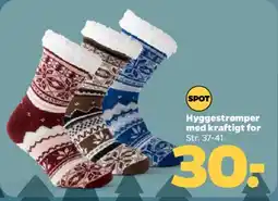 Netto Hyggestrømper tilbud