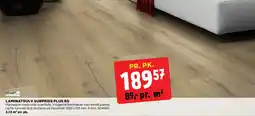 jem & fix LAMINATGULV SURPRISE PLUS EG tilbud
