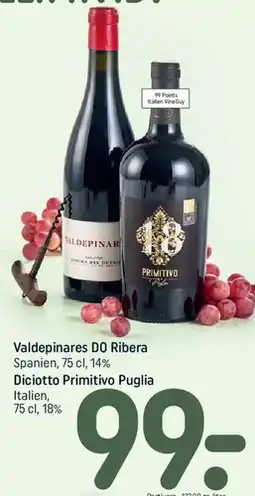 REMA 1000 Valdepinares DO Ribera / Diciotto Primitivo Puglia, 75 cl tilbud