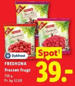 Lidl Frossen frugt tilbud