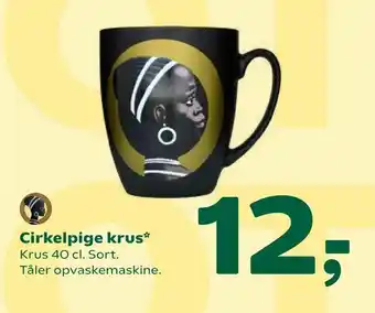 Cirkelpige krus