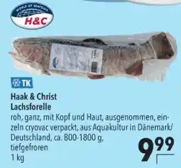 Citti Haak & Christ Lachsforelle tilbud