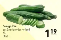 Citti Salatgurken tilbud