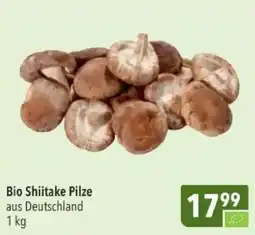 Citti Bio Shiitake Pilze tilbud