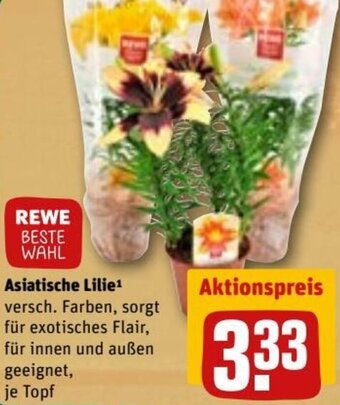 REWE DE Asiatische Lilie tilbud