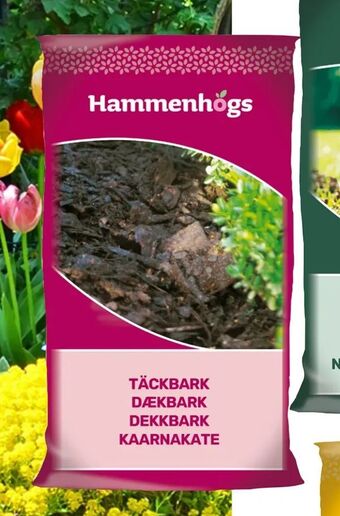 Harald Nyborg Dækbark tilbud