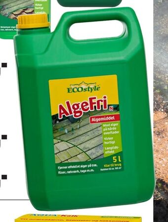 Harald Nyborg AlgeFri tilbud