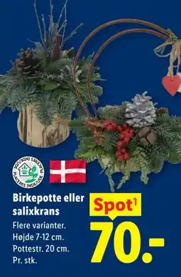 Lidl Birkepotte eller salixkrans tilbud