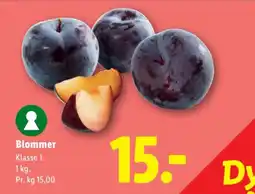 Lidl Blommer tilbud