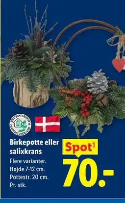 Lidl Birkepotte eller salixkrans tilbud