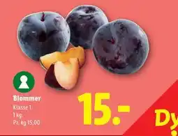 Lidl Blommer tilbud