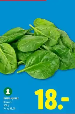 Lidl Frisk spinat tilbud
