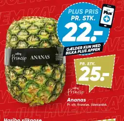 Bilka Princip Ananas tilbud