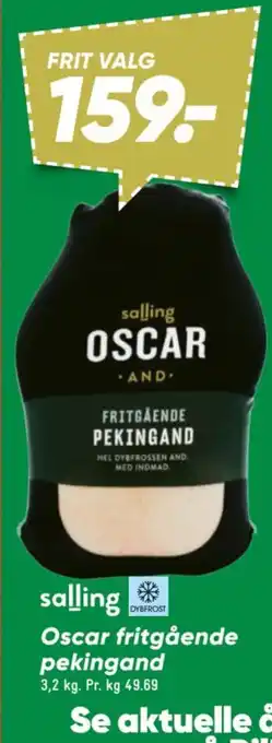 Salling oscar fritgående pekingand