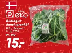 Bilka Salling ØKO Økologisk grønkål tilbud
