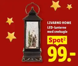 Lidl Livarno Home LED-lanterne med snekugle tilbud