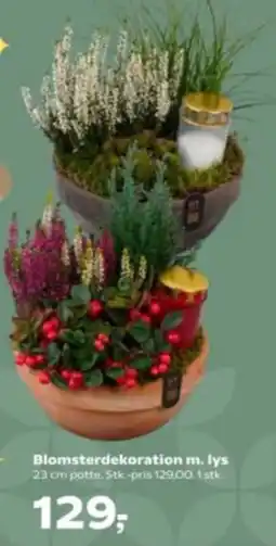 Kvickly Blomsterdekoration m. lys tilbud