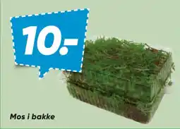 Bilka Mos i bakke tilbud